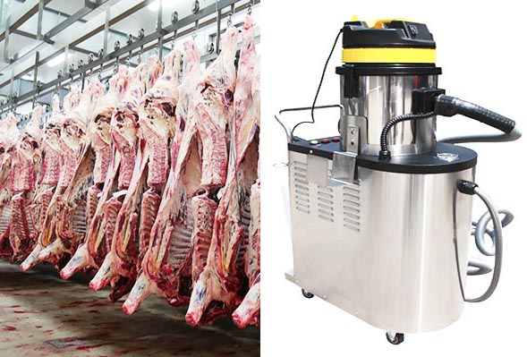 Slaughterhouse steam cleaner